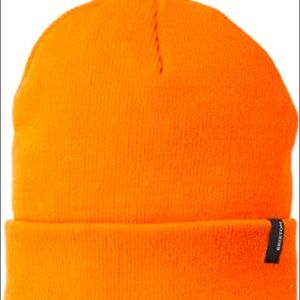 Brixton Neon Beanie